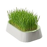 Plateau de culture en deux étapes : cette jardinière pour chat est équipée d'un réservoir d'eau amovible et d'un plateau de culture en deux étapes, ce qui simplifie le processus de semis et facilite l'entretien et le nettoyage. Cela signifie que les propriétaires d'animaux domestiques peuvent facilement cultiver de la fraîcheur pour leurs chats dans n'importe quel environnement grâce au bien pensé et pratique.
