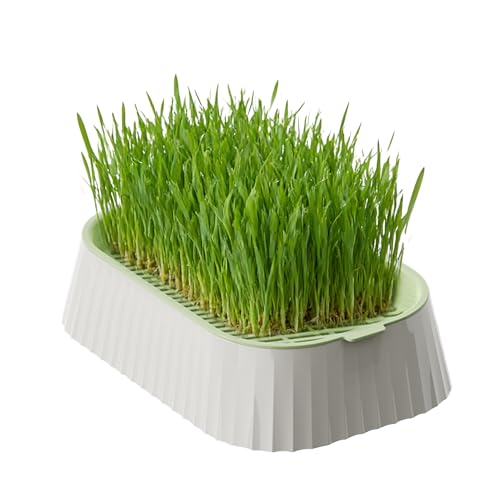 Maceta de césped para gatos, bandeja para germinar semillas, bandejas de germinación inferiores compactas antideslizantes, contenedor de cultivo de hierba para gatitos para interiores y exteriores