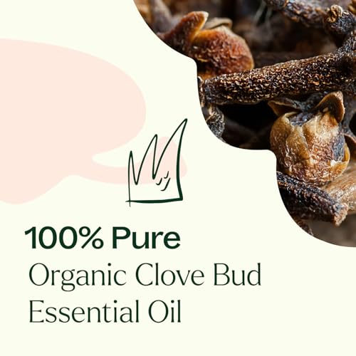 Aceite Esencial Orgánico de Clavo 30 mL Plant Therapy miniatura 5