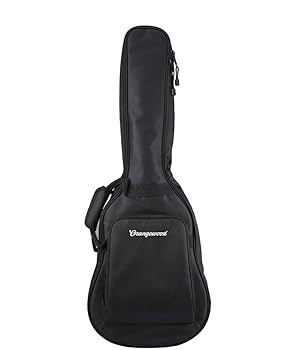 Amazon | Orangewood 6弦 アコースティックギター 右 スプルース