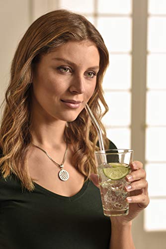 Paille en verre réutilisable borosilicate transparent CIAO LEONARDO HOME