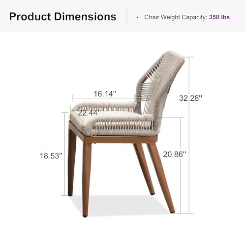 PURPLE LEAF Patio Dining Chair Set 2 Pieces Aluminum Modern Furniture Seating for Garden Kitchen Porch Outdoor Wicker Dining Chairs with Sunbrella Cushions