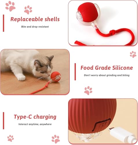 Image of Interactive Electric Automatic Rolling Moving Rechargeable Self Play Stimulation Toy for Cats and Small Dogs - Smart Pet Chase Ball with Speedy Tail Rope for Indoor Multicolour