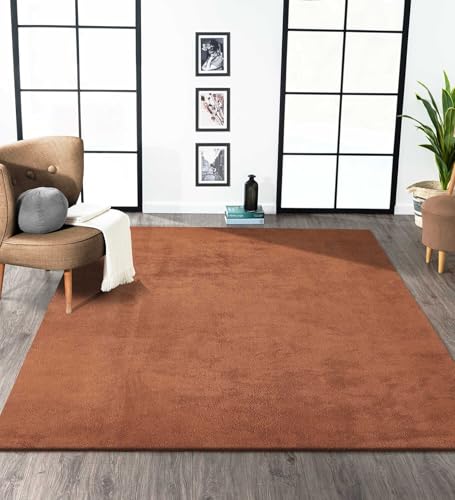 Image of Obsessions Large Indoor Polyester Carpet with Solid Pattern Felt Backing, Ideal for Bedroom & Living Room 120x170cm, Brown