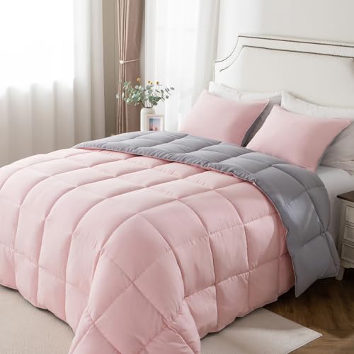 KASENTEX Queen Comforter Set – Reversible Dual Color – Goose Down Alternative – Ultra-Soft, Lightweight, Machine Washable, Maintain Fluffiness, All Season Warmth (Pink Potpourri/Quartz Silver)