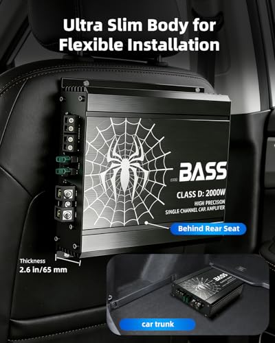 TANVSO 2000W Monoblock Amplifier