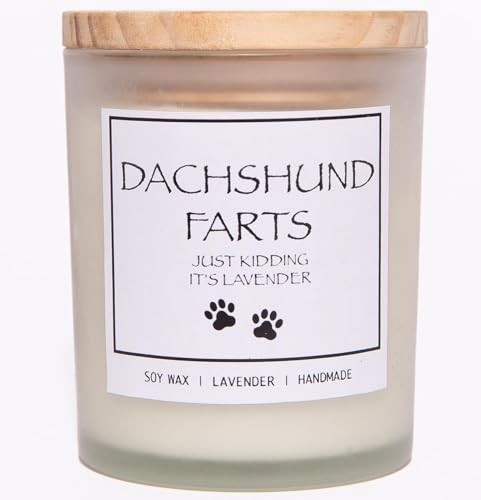 CANDLES-SCENTED Dachshund Gifts,Dachshund Gifts for Women,Dachshund Decor,Weiner Dog Gifts for Women,Dachshund Candle,Weiner Dog Stuff,Weenie Dog Gifts,Wiener Dog Gifts,Weiner Dog Gifts, CWXX-01