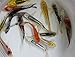 select 10 Pack of 3-4 inch Live Butterfly koi