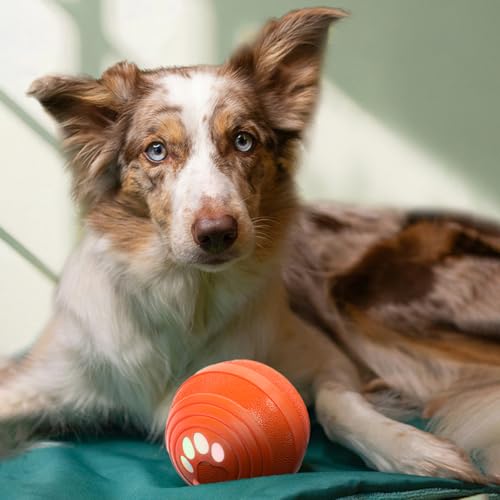 Songsier Interaktiver Hundeball Hundespielzeug Intelligenz mit Automatischer Rollfunktion der Hundeball ist aus Naturkautschuk mit LED Licht und Schnell Aufladbar