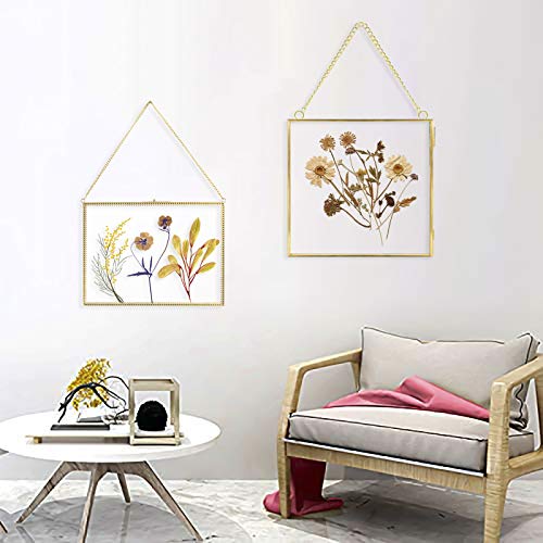 Dried Flowers Frame, Wall Hanging Glass Picture Frame Heart Shape Brass Trim Outlook Decor Floating Photo Frame Ornament For Plant Specimen Pressed Flowers Certificate Poster 8X12 Inch Glass Frame With Chain #TOP4