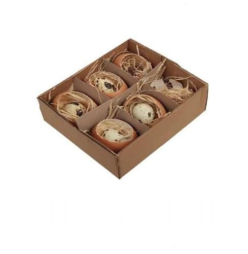 RiloStore 24 huevos de Pascua, 12 huevos de gallina abiertos