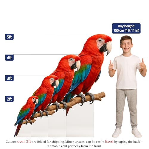 Image of Parrot 5FT Life Size Cardboard Cutout - A Fun Animal Standup for Photo Booths, Birthday Parties, and Events