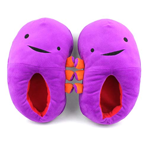 Heart Guts Kidney Slippers - Plush Cozy and Comfy Purple and Orange No-Skid - Women’s Size 5-8