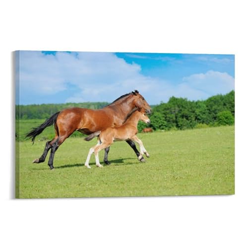 n A[gG i|X^[ (3)  LoX EH[ 摜 |p Ǐ ǂ̊G  \t@̔wi16x24inch(40x60cm)