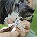 Pet Nail Clippers for Indoor Cats & Small Animals - Precision Angled Blades & Steady Grip - Ideal for Kittens Tiny Dogs Rabbits Birds - Nail Trimmer & Claw Scissors for Home Grooming - eBook Guide