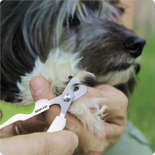 SHINY PET Krallenschere Katzen - Krallenschere für Anfänger - Krallenpflege Kleintiere Zubehör - Nagelknipser für Katze Kleine Hunde Kaninchen Meerschweinchen Vogel Hasen - Ebook-Anleitung