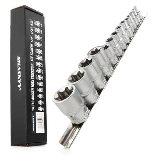 HASKYY Torx Nuss Set 14tlg E-Profil Außentorx Stecknüsse Steckschlüssel Satz E4-E24 1/4 3/8 1/2 Zoll Steckschlüsseleinsätze Innenvierkant auf Schiene