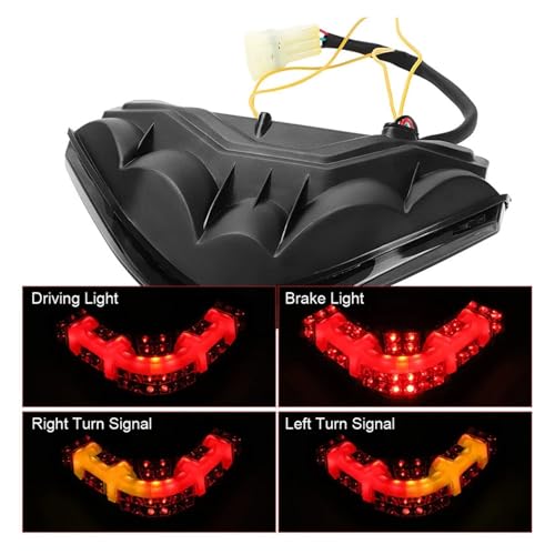 Luz trasera LED integrada para Ducati Multistrada 1200 de 2010 a 2014 con intermitentes 6
