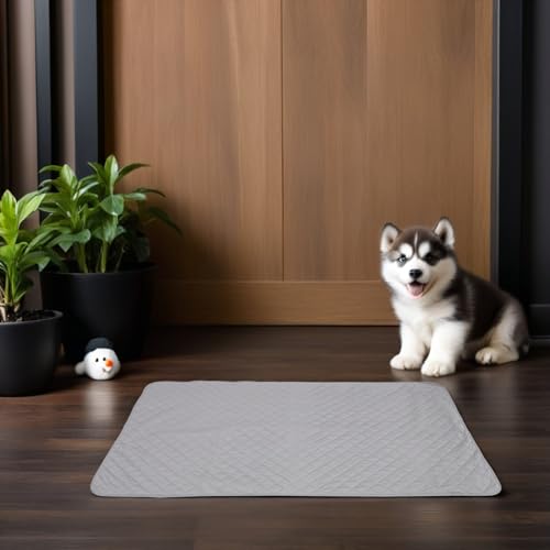 Couverture imperméable pour chien plaid lavable protection canapé 74x135