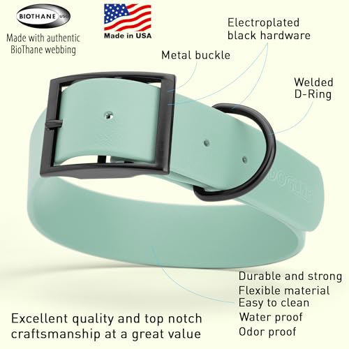 Image of Dogline Biothane Waterproof Dog Collar Strong Coated Nylon Webbing with Black Hardware Odor- Proof for Easy Care Easy to Clean High Performance Fits Small Medium or Large Dogs, Sage Green