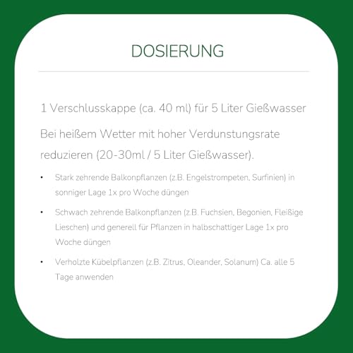 Substral Spezial-Flüssigdünger für Balkon- & Kübelpflanzen, 2L - Langanhaltende Blütenpracht & Gesundes Wachstum 6