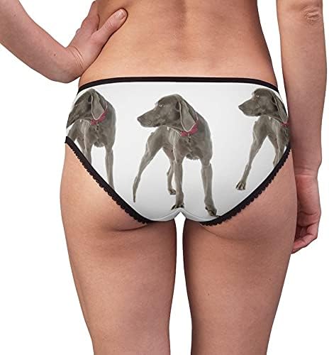 Weimaraner Panties, Weimaraner Underwear, Briefs, Cotton Briefs, Funny Underwear, Panties For Women