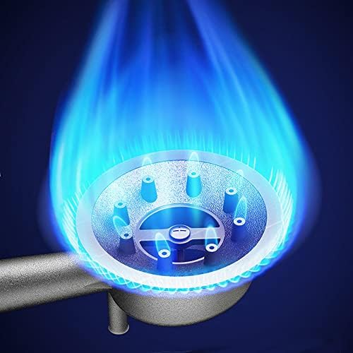 Butane Gas Bottles Canisters Camping Stove, Portable Gas Cooker Single Burner for Outdoor Picnic BBQ, 2.9KW, Automatic Ignition and Heat Control, with Carry Bag