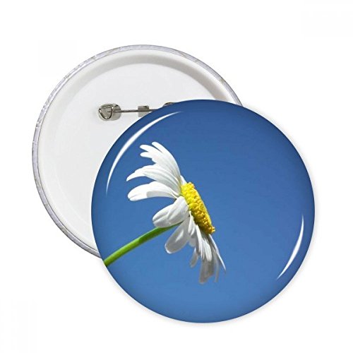 Badge bouton tournesol ciel bleu lot de 5 pièces cadeaux parfaits pour la famille