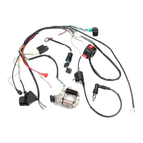 Boîtier CDI et faisceau électrique complet pour résoudre les pannes d'allumage de quad