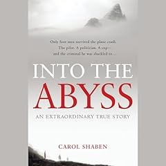 Into the Abyss Audiolibro Por Carol Shaben arte de portada