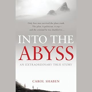 Into the Abyss Audiolibro Por Carol Shaben arte de portada
