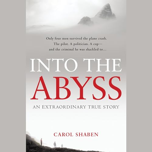 Into the Abyss Audiolibro Por Carol Shaben arte de portada
