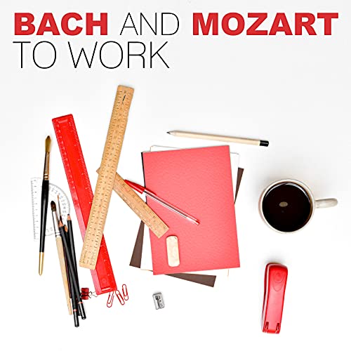 Bach and Mozart to Work Classics of the Best to Study and Chill With