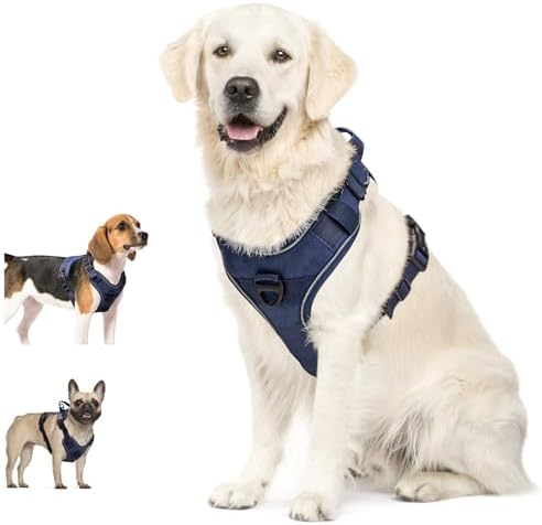 Dog Harness, No Pull Pet Harness No-Choke with 2 Metal Rings 3 Buckles Reflective Adjustable Soft Padded Pet Vest with Easy Control Handle for Small Medium Large Dogs (Small, Blue)