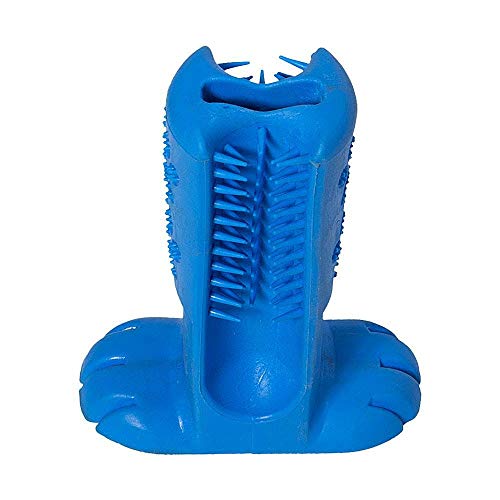 Dental Truqys Grande-Azul