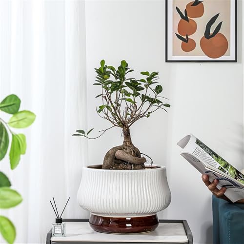 Pot de fleurs en céramique blanche surélevé pour sauver vos plantes