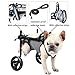 WSPWFQ Dog Wheelchair - Reflective Strips & Explosion - Proof Leash, Breathable Mesh, Multi - Size for Small - Medium Dogs (XS - M)(S)
