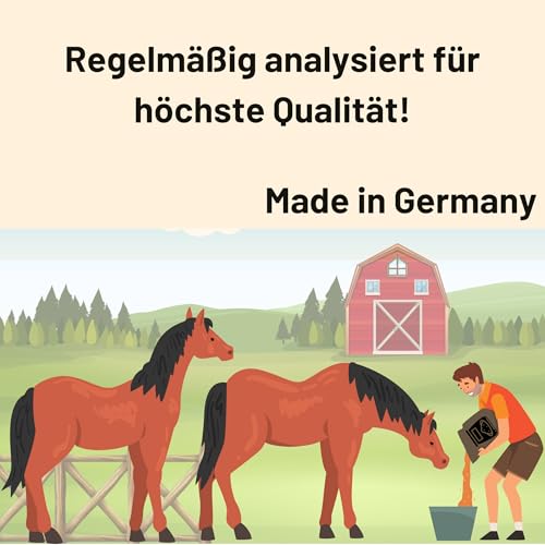 Futterkohle für Pferde 500g – 100% pflanzlich & naturbelassen | Premium Kohlegranulat zur täglichen Fütterung | staubarm & geruchsneutral | hochwertige Ergänzung für ausgewogene Pferdeernährung