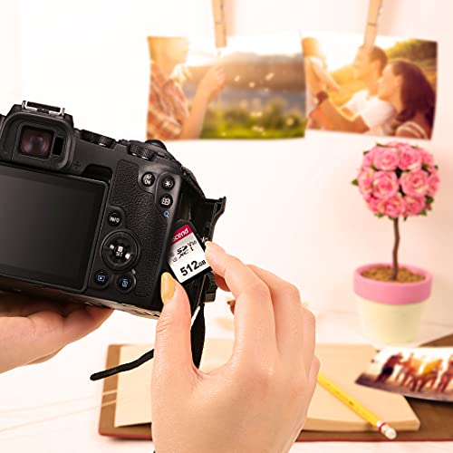 Image of Transcend 128GB SDXC SD Card- 100MB /s, UHS-I U1 /V10 /Full HD /C10 Memory Card | Compatible with DSLR Cameras / Digital Cameras / Trail Cameras / Camcorder