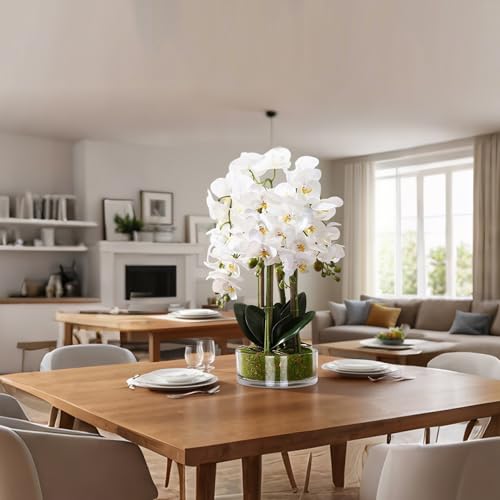 Home Page - Paul - Cosy Home Interiors