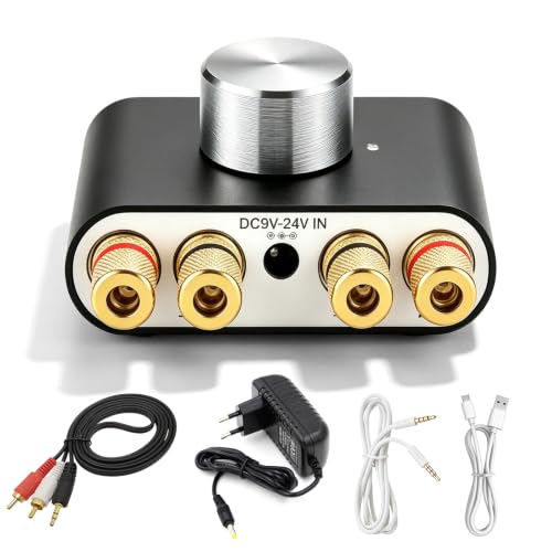 Mini amplificateur Bluetooth, 50 W x...