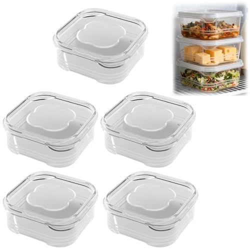 Clear Food Containers for Refrigerator,Fruit Vegetable Fridge Organizer,Leakproof Fridge Food Container for Kitchen Family Gathering Picnic School Party Camping Dorm Apartment (5)