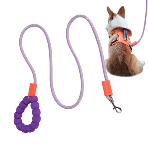 Cemaystic 小型犬用トレーニングロープ、衝撃吸収設計で快適散歩・しつけ訓練用 (青)