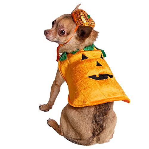 Disfraz de Calabaza para Perro Pequeño PET KREWE miniatura 3