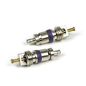 10 sztuk Rdzeń Zaworu BMW Mercedes Ford VW