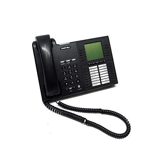 Iwatsu Icon IX-5910 Teléfono IP miniatura 1
