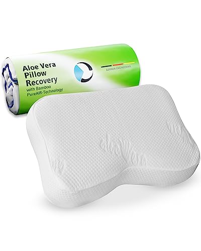 Third of Life Travel Pillow