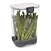 ProKeeper Herb Keeper – 1-Piece, White, with Removable Silicone Drain Plug, BPA-Free Plastic