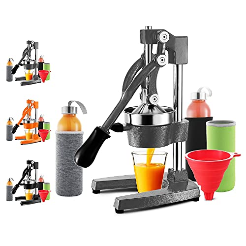 Los 5 Mejores Modelos De Extractor De Jugos Elektra