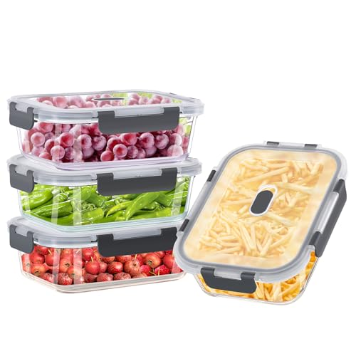 TDSYDS Glasbehälter mit Deckel 4 Stück(2 Behälter + 2 Deckel) - Frischhaltedosen Glas 640ML Mikrowellengeschirr - Meal Prep Boxen Glas Lunchbox - Vorratsdosen